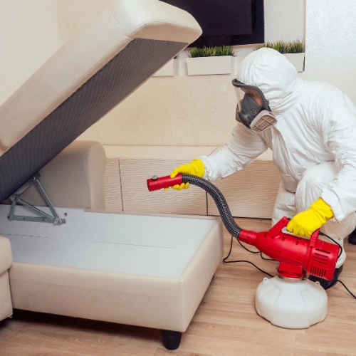 Technicien en combinaison de protection effectuant un traitement contre les punaises de lit, pulvérisation sous un canapé avec un équipement professionnel de désinsectisation.