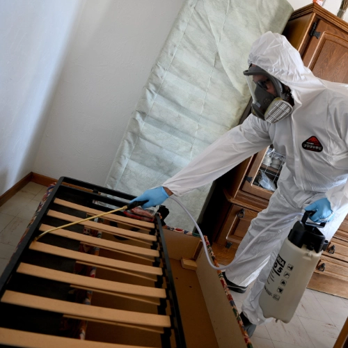 Intervenant professionnel en combinaison de protection appliquant un traitement contre les punaises de lit sur un sommier démonté à l’aide d’un pulvérisateur.