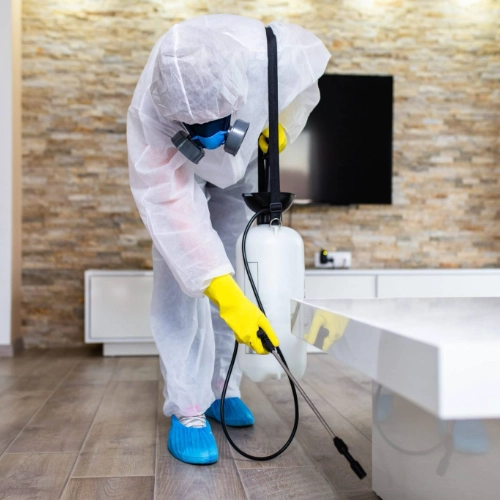 Technicien en combinaison de protection réalisant un traitement professionnel contre les punaises de lit dans un salon, à l’aide d’un pulvérisateur spécialisé.
